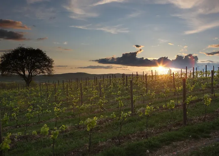 Agriturismo Poggio Al Sasso