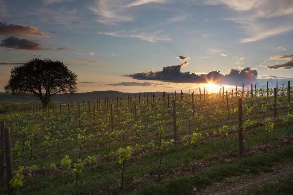 Farm stay Poggio Al Sasso Blera